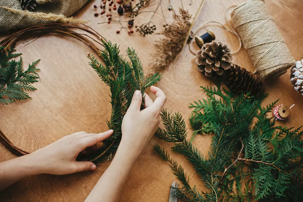 Hands holding fir branches and pine cones, thread, scissors on w