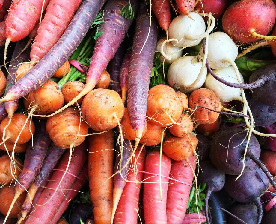 Autumn Vegetables