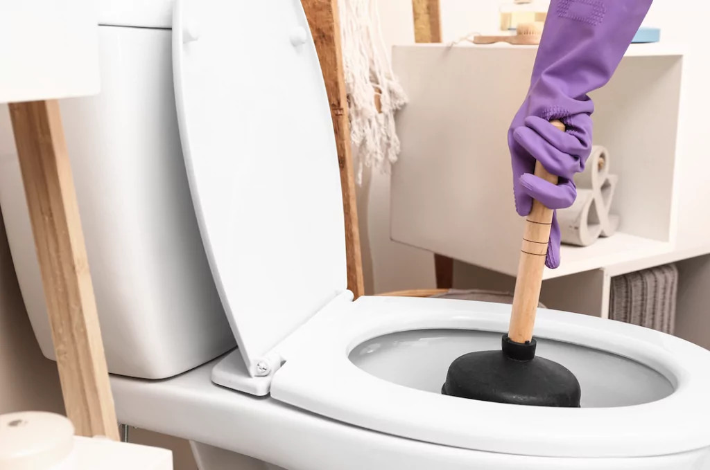 What to buy to unclog a on sale toilet