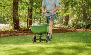 Man pushing a green fertiliser spreader outside