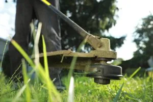 String trimmer being used on grass outside